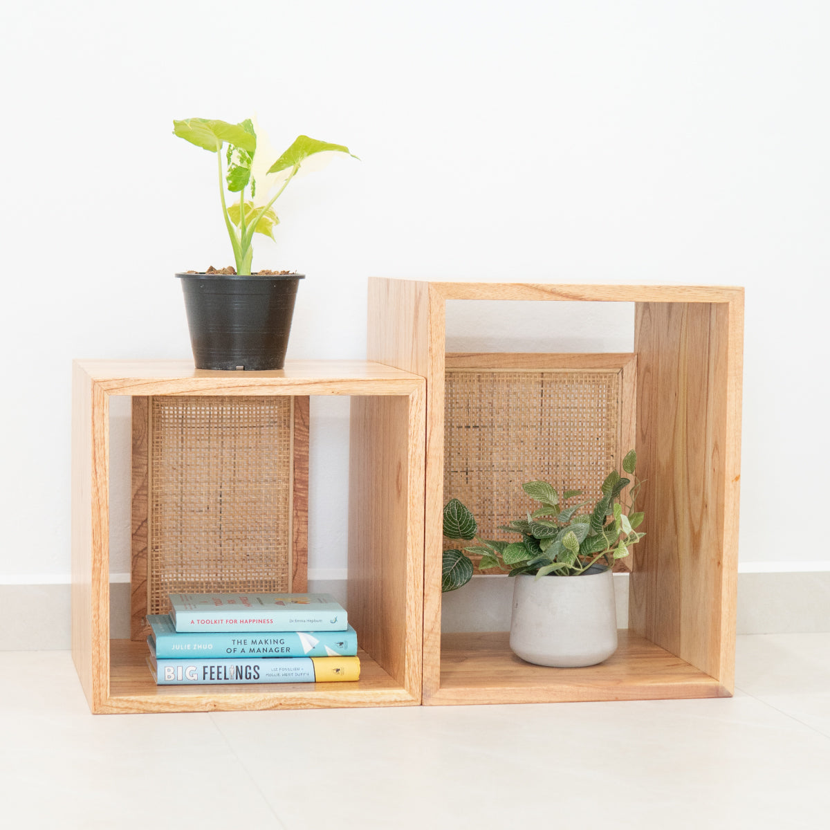 Summer's Modular Stackable Storage & Display Case (Elongated Small) | Shop Furniture Online On Kathy's Cove Singapore