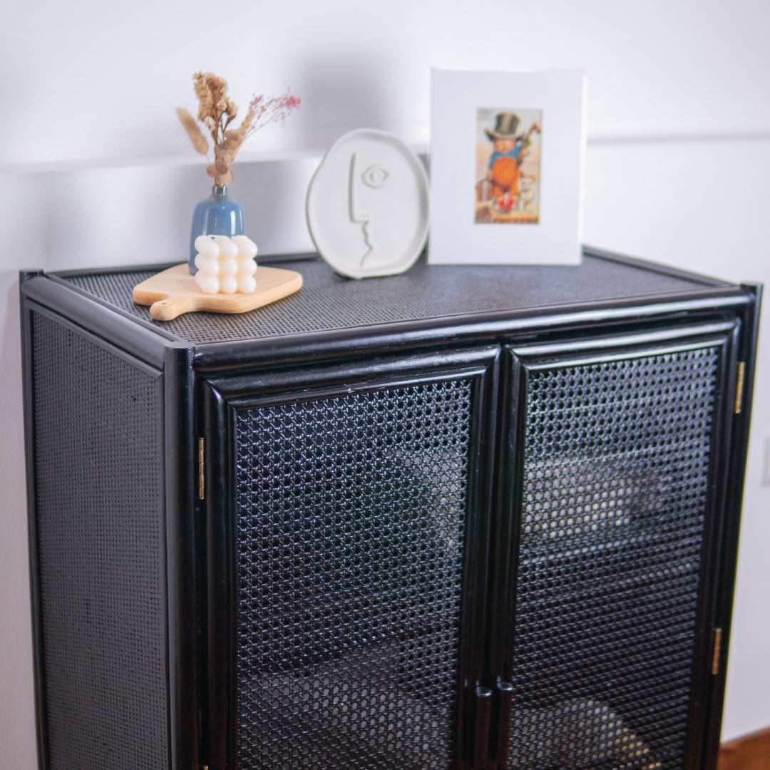 Agatha's Two Door Storage Cabinet (Black)  | Buy Rattan Furniture Online | Kathy's Cove