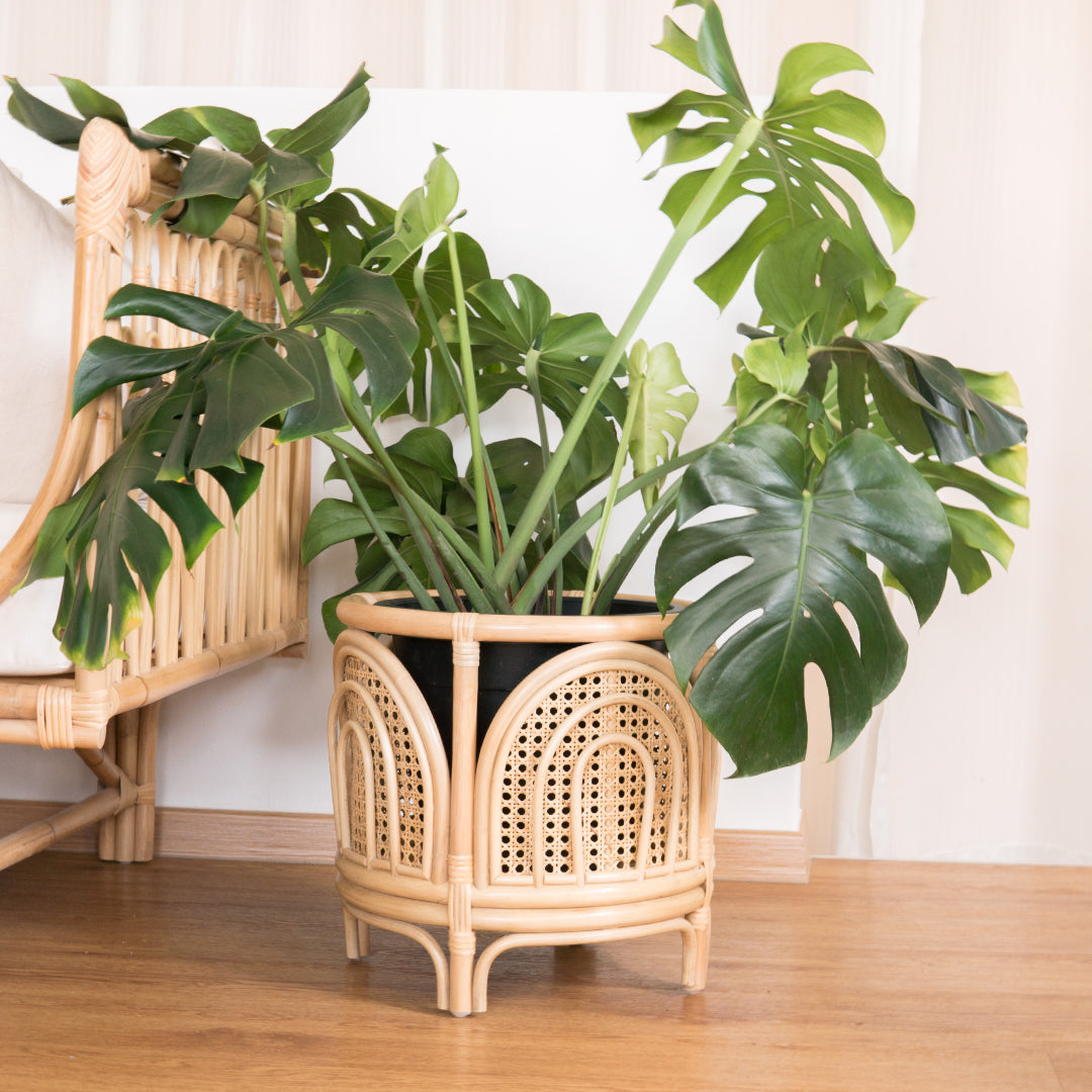 Faith's Rainbow Planter | Buy Rattan Planter Online | Kathy's Cove