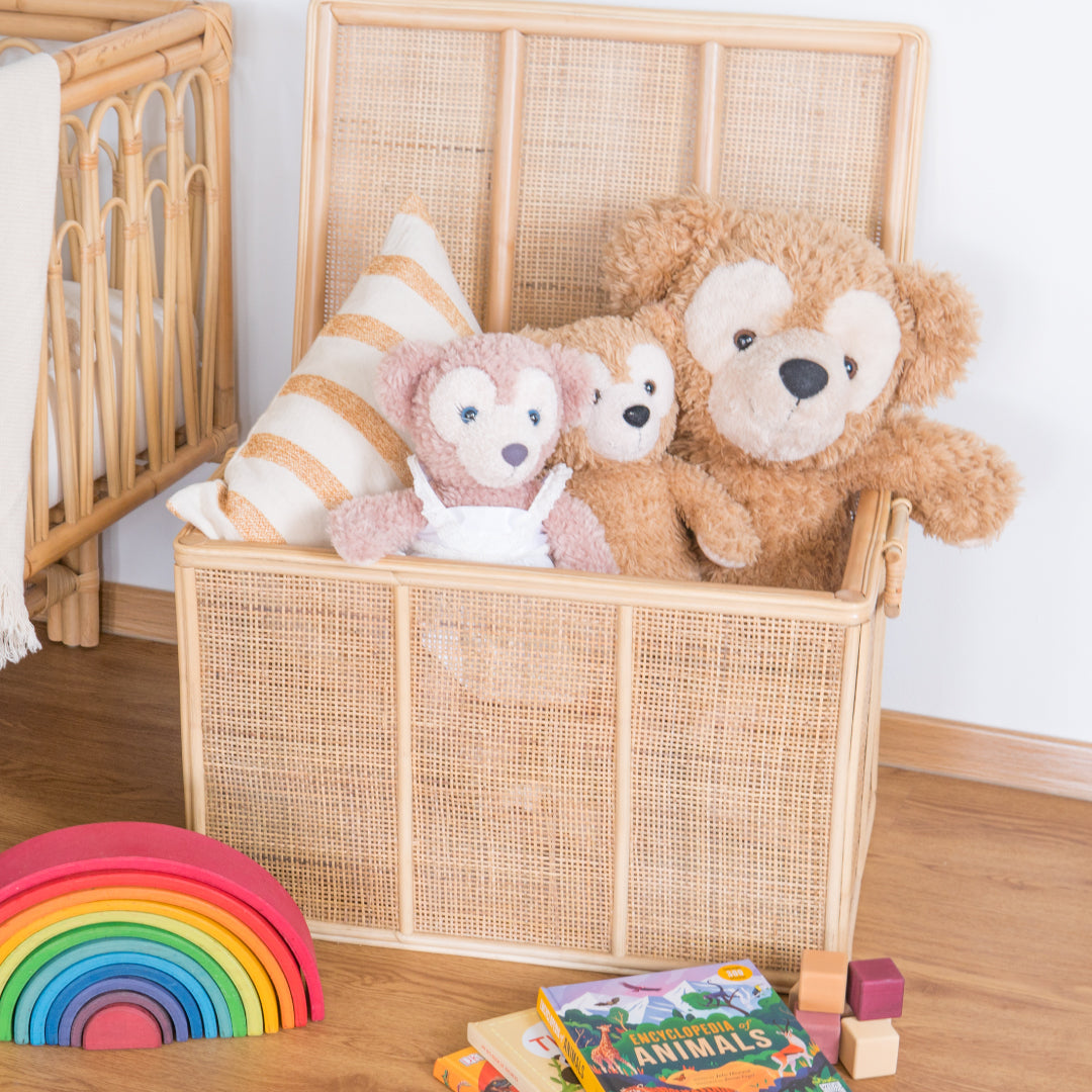 Spencer's Toys & Storage Trunk (Large) | Buy Rattan Furniture and Rattan Toys Online | Kathy's Cove