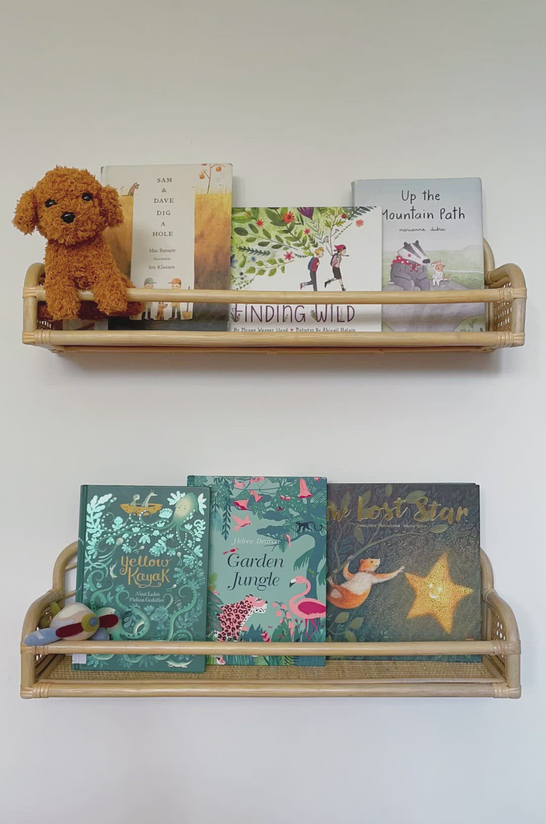 Matilda's Books and Display Ledge